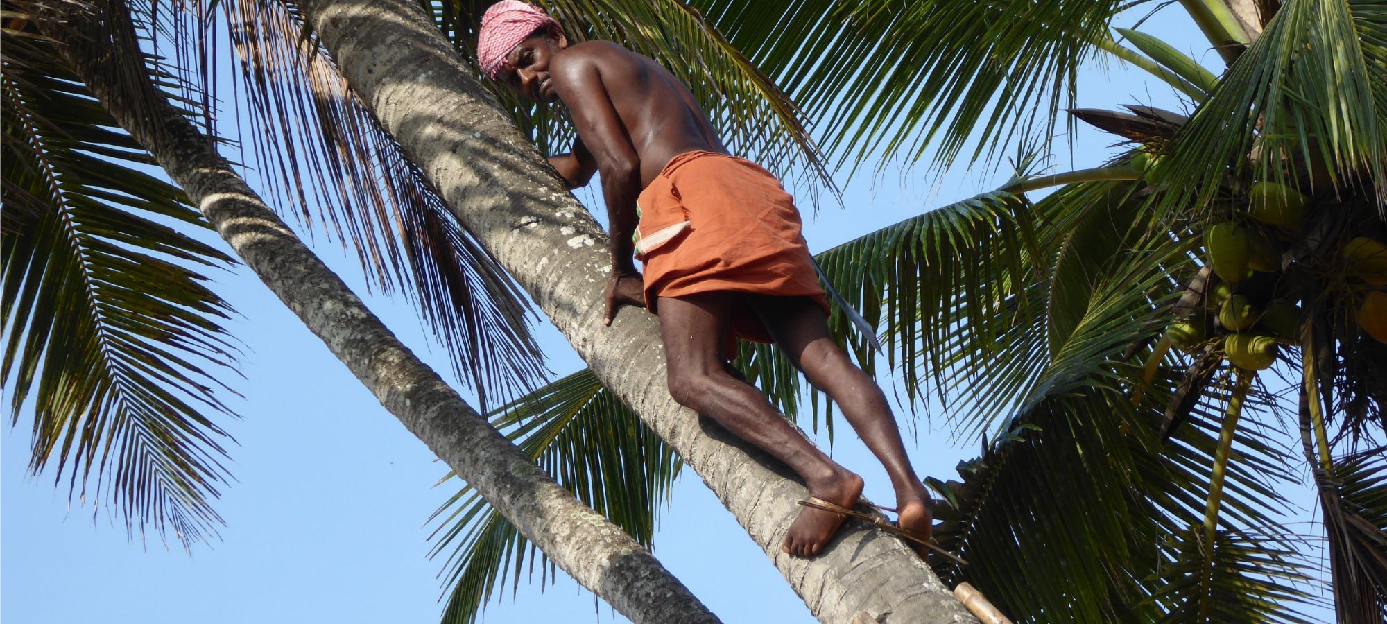 Photos from our India - Kerala Cycling Holiday